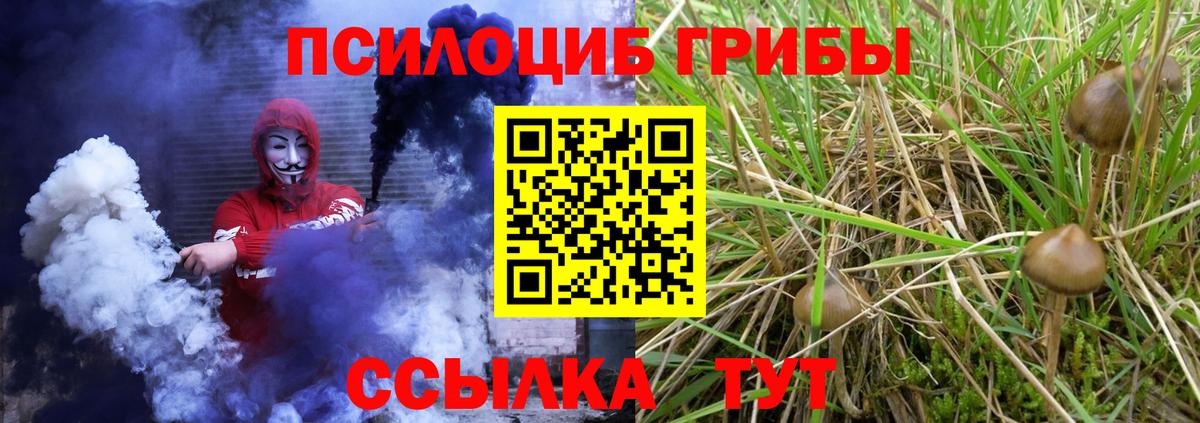 Псилоцибиновые грибы мухоморы  Вход с VPN  Псилоцибиновые грибы Magic Shrooms  где найти наркотики  Ростов-на-Дону 