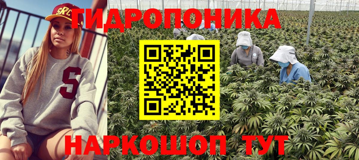Бошки Шишки семена Ростов-на-Дону